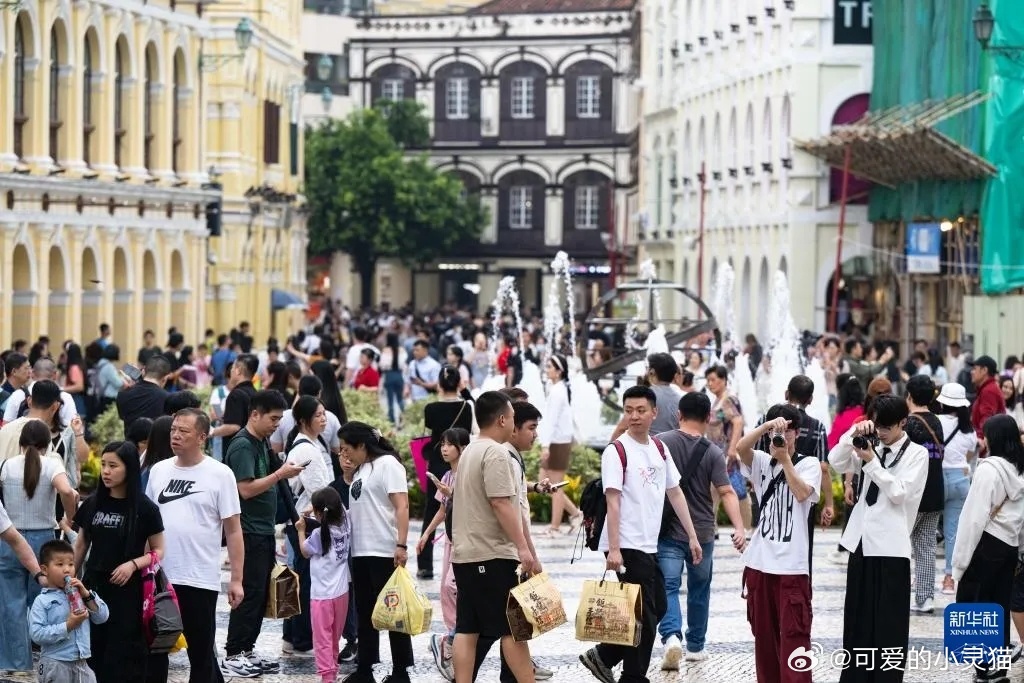 探索未来的澳门，2025年新澳门天天免费精准大全与词语释义的落实新闻