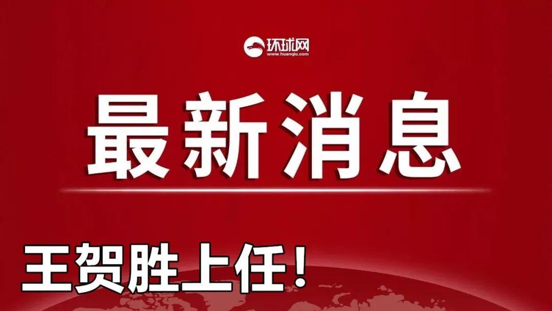 探索管家婆2025正版资料免费公开的未来视界