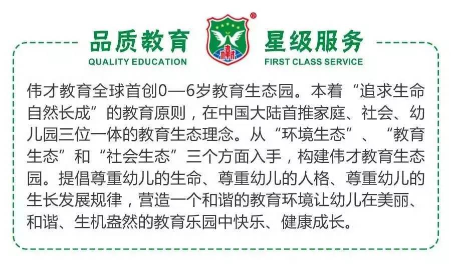 澳门广东八二站免费资料查询与教育精选解析落实的探讨