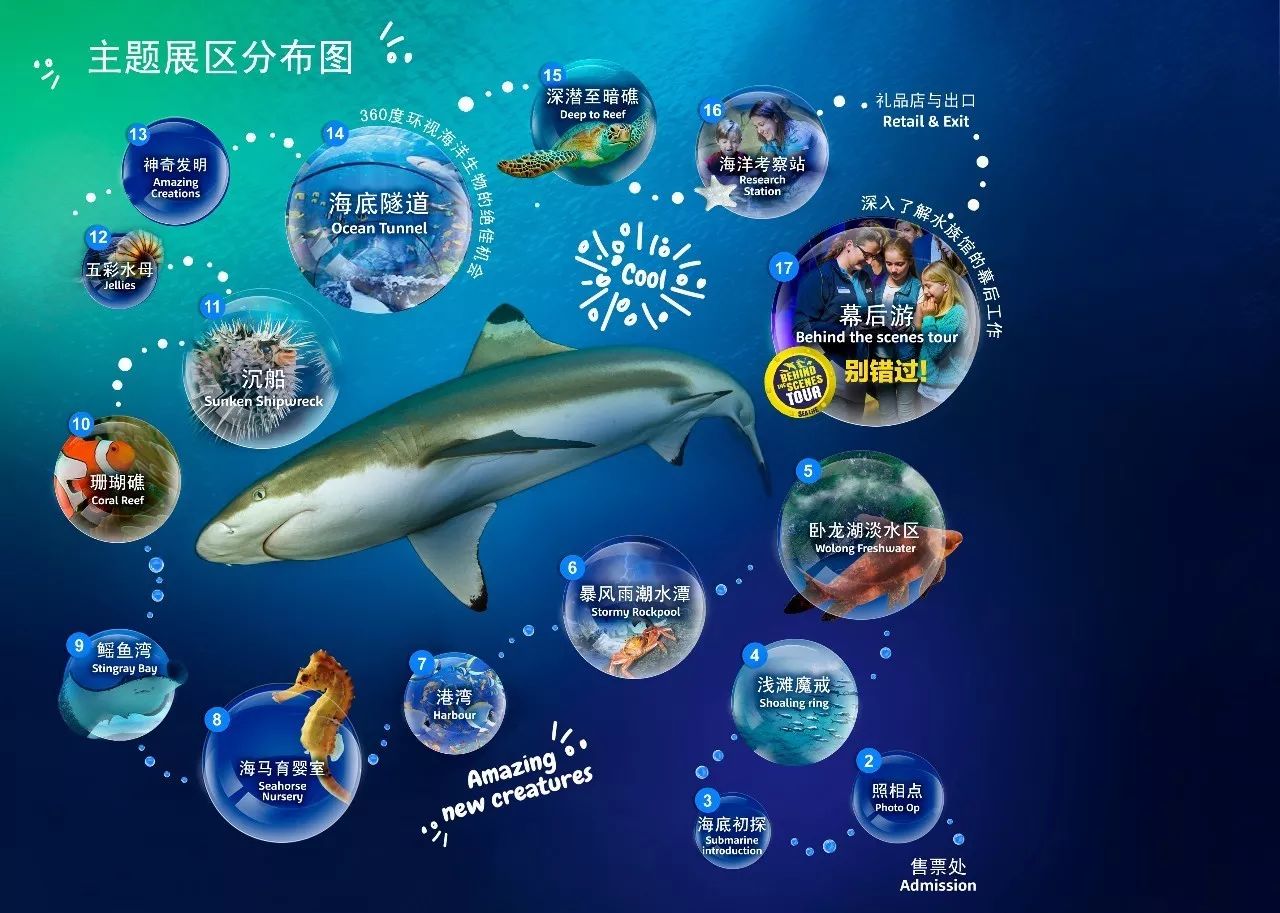 探索未来知识海洋，2025正版资料免费大全最新版本的亮点优势与实证分析