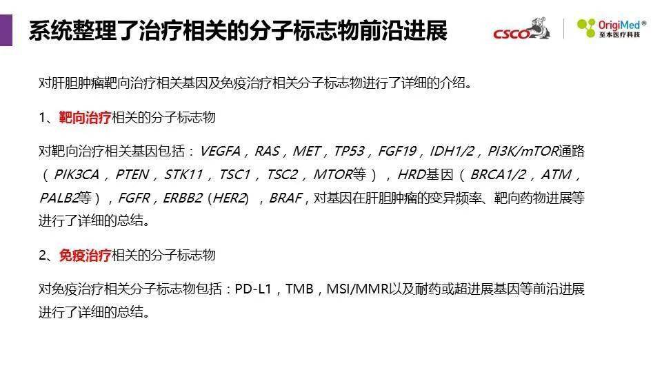 探索新澳门，2025年免费精准资讯的未来与词语释义的落实