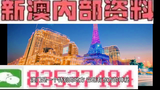 探索未来的澳门，免费精准资讯的演变与落实