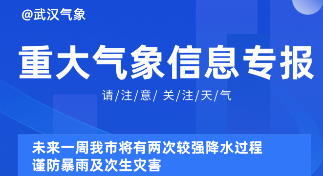 探索未来的新澳门与香港，实用释义与精准免费资料大全（2025展望）