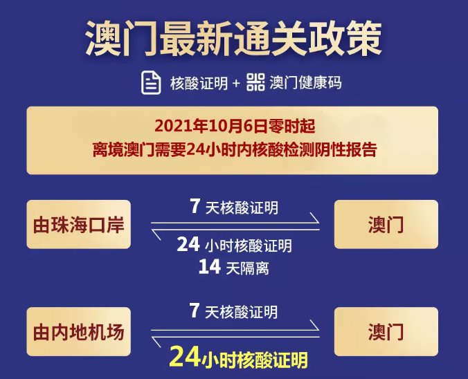 澳门资讯，揭秘2025年澳门全年免费资料精选解析与落实指南——郭力教授深度解读