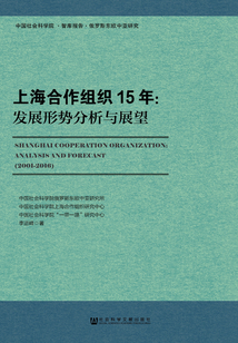 探索澳门未来，正版挂牌的完整蓝图与机遇展望