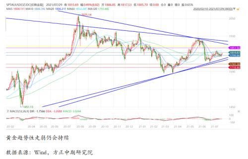 澳2025一码一肖，精准预测与解读的未来展望