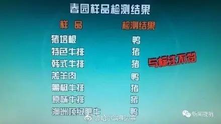 揭秘一码一肖预测真相，深度解析与科学解读