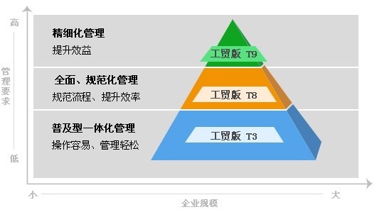 揭秘2025管家婆一肖一特，构建解答解释落实策略