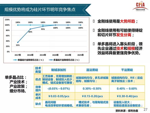 澳门王中王未来展望，构建解答解释落实之路（标题）