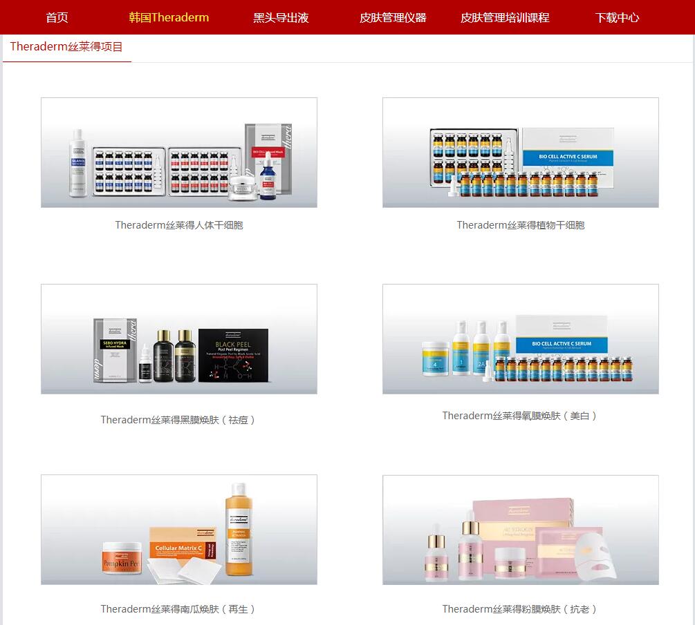 探索澳门，2025澳门精准资料大全的下载与应用之旅