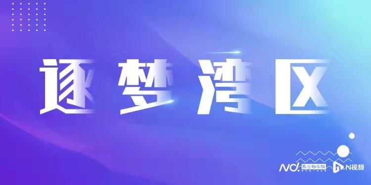 澳门精准正版挂牌，全面释义与落实的展望（资讯篇）——以2025年为时间节点