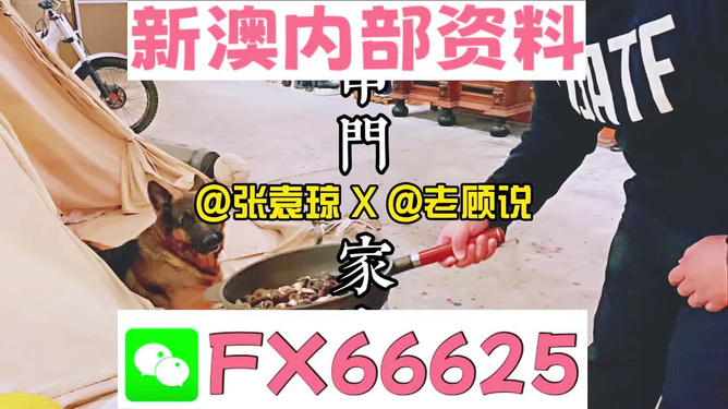 澳门正版资料大全与免费精选资料，新澳的管家婆资料解析