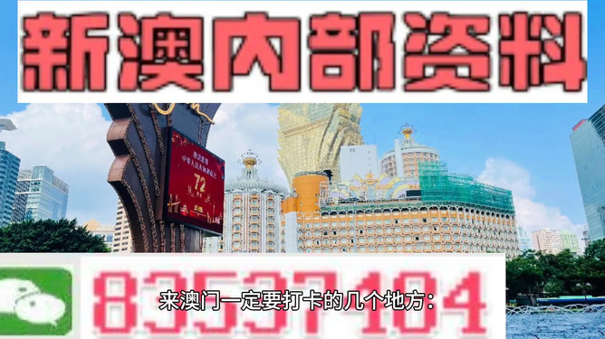 探索澳门正版资料世界，广东八二站与2025新澳门正版精准免费大全的全方位解析