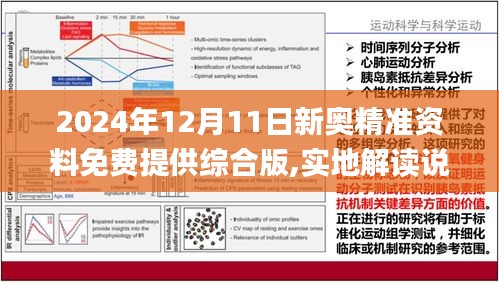 迈向2025，正版资料全年免费公开，深度解读与精选资料解析