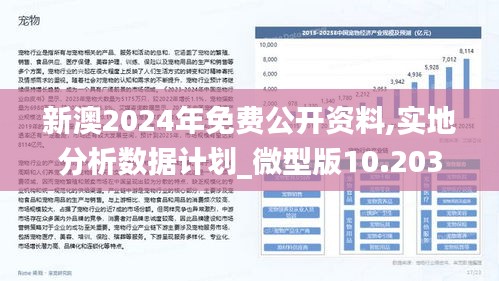 深度解读2025新澳正版资料最新更新，揭秘背后的落实策略与行动