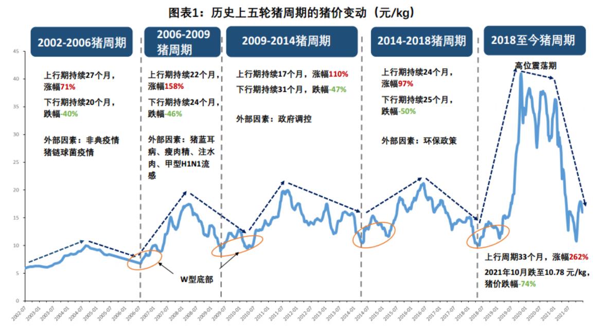 迈向2025，正版资料免费共享的未来展望与落实策略