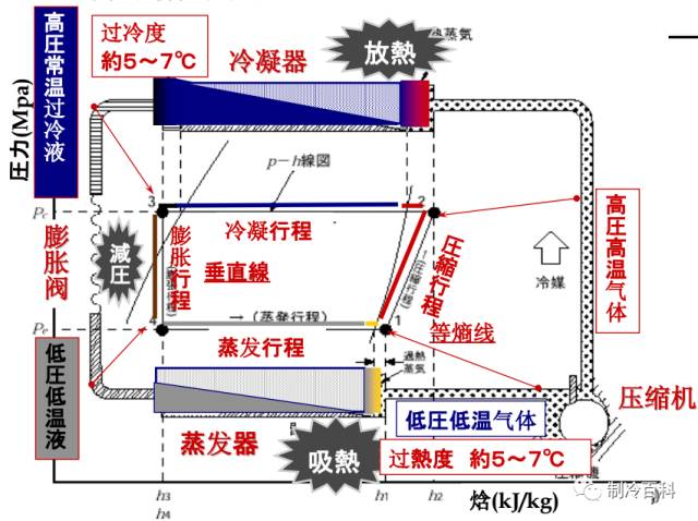 广东八二站免费精选解释解析与健康及上海光乐制冷设备的关联探讨